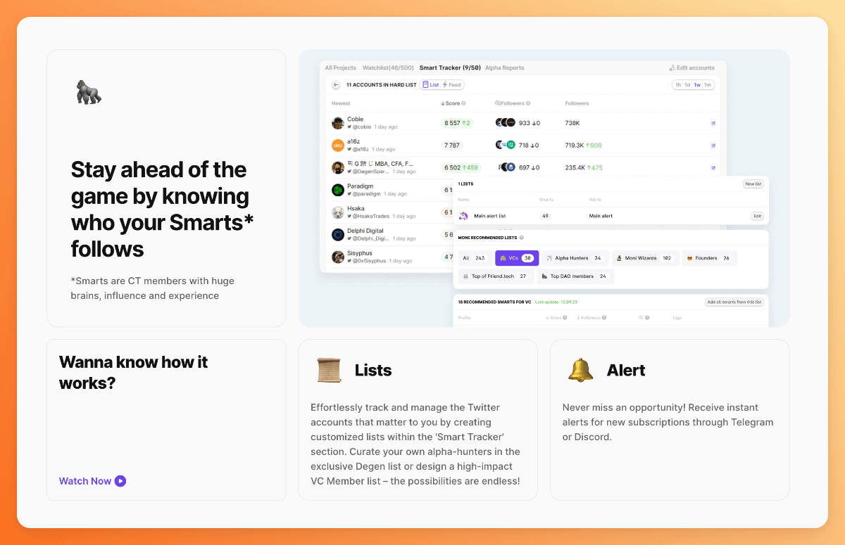 Ape's Guide to Discovering Early Stage Projects with Moni | Stacy Muur