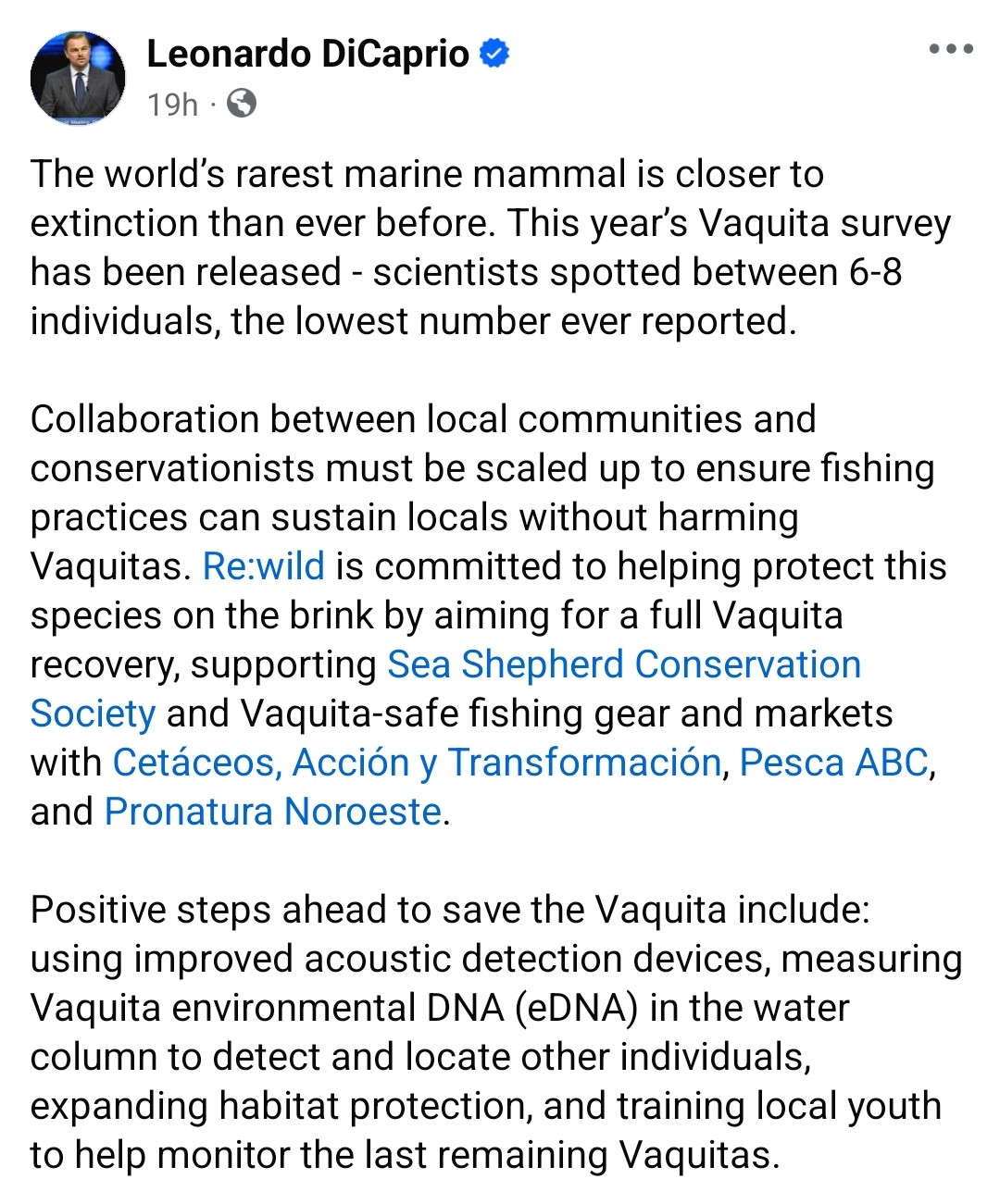 Leo DiCaprio and Rewild Post Vaquita Drone Video & Hope for Recovery ...