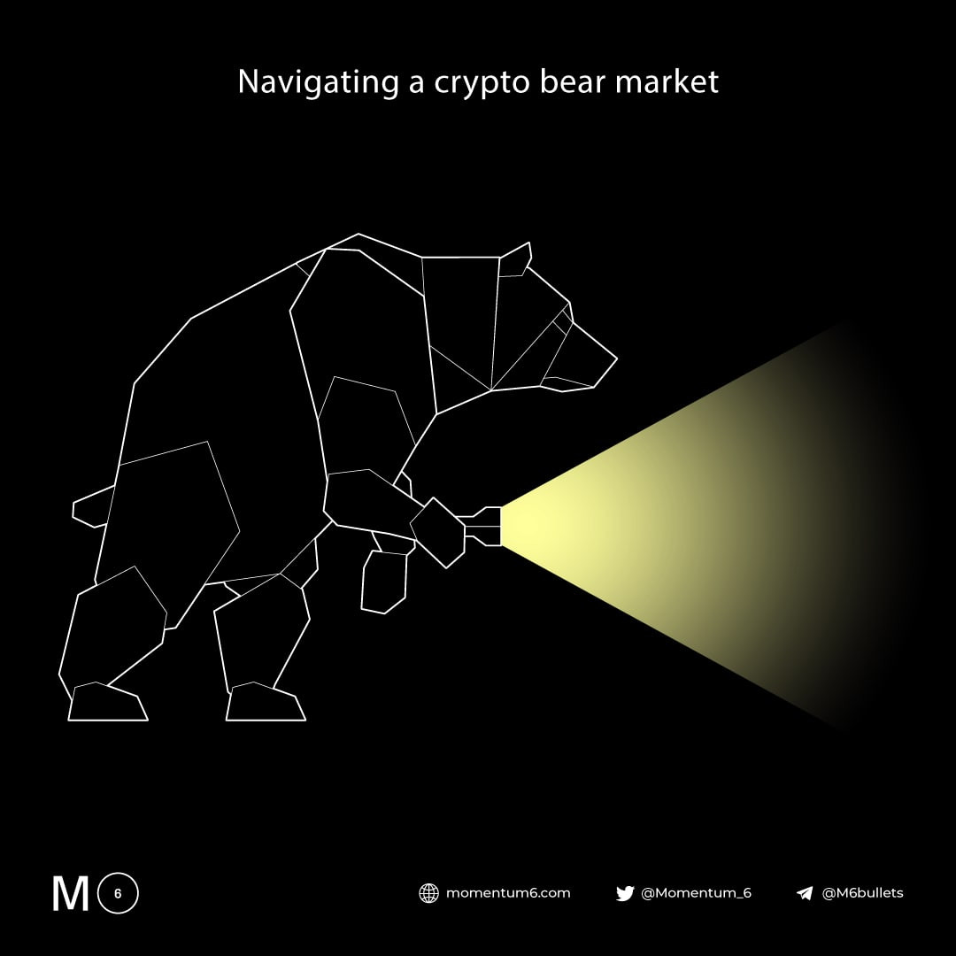 Visual Guide: Navigating a crypto bear market