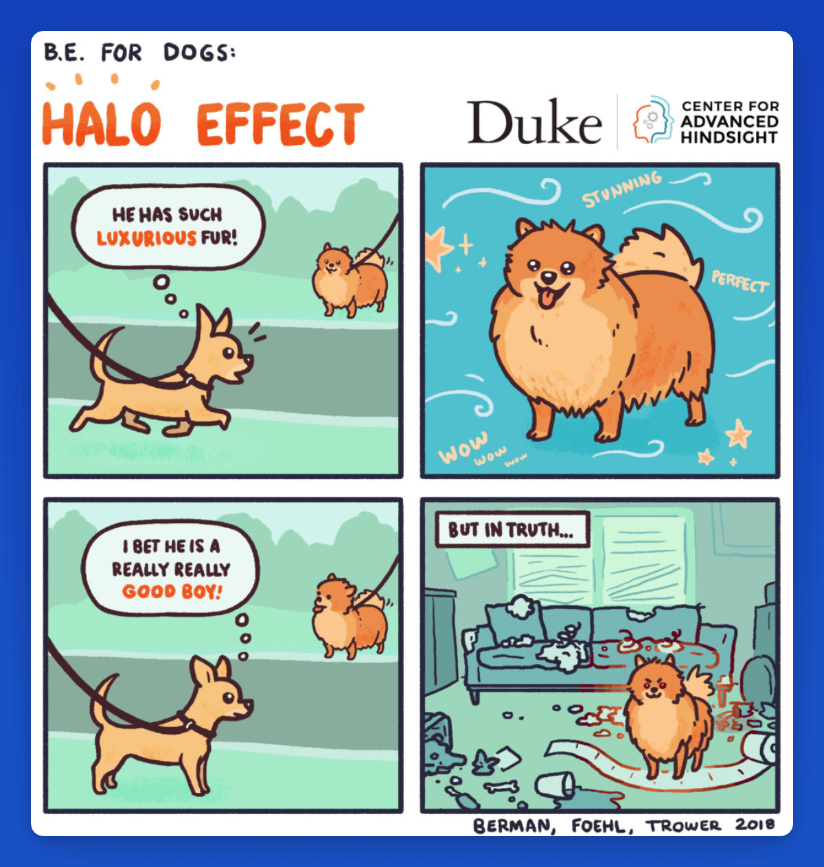 HALO EFFECT