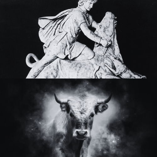 Symbolism of the Bull | 🔴HV📜📚🧘‍♀️
